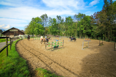 Reitstall Bürki - unser schönes Reitviereck